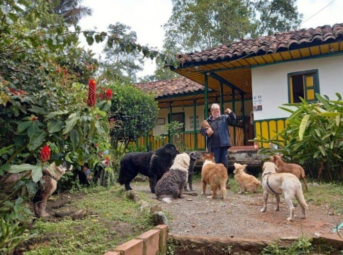 Bonnie, Stanley and Pie - the dogs of Finca Don Eduardo