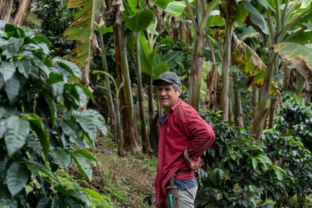 Finca Don Eduardo coffee farm in Salento's Andes mountains